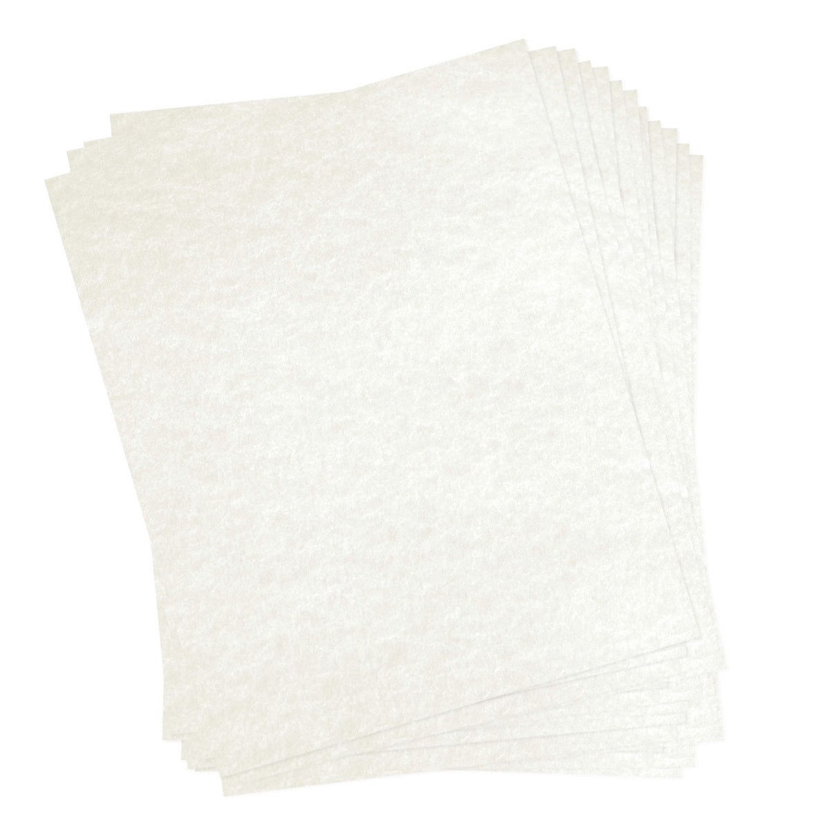 Dulytek 30-Sheet 12 x 14 Pre-Cut Extra Thick Parchment Paper